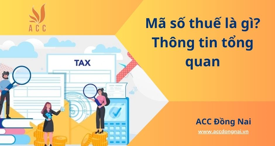 Mã số thuế là gì? Thông tin tổng quan
