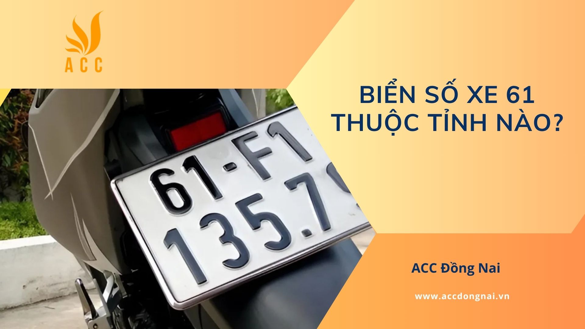 Biển số xe 61 thuộc tỉnh nào?