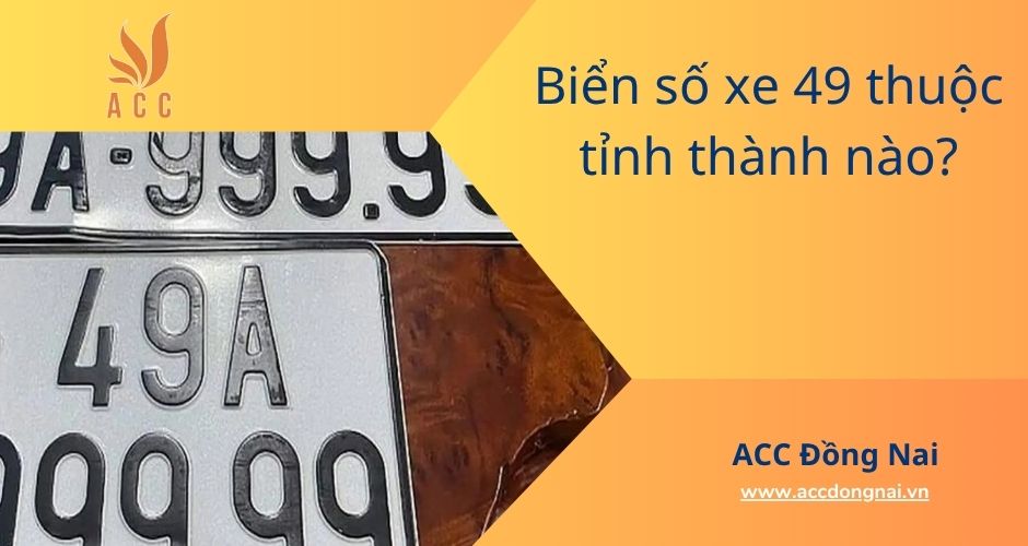 Biển số xe 49 thuộc tỉnh thành nào?