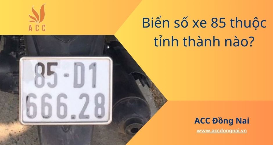 Biển số xe 85 thuộc tỉnh thành nào?